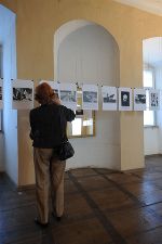 ©Fauland/Baumhakel