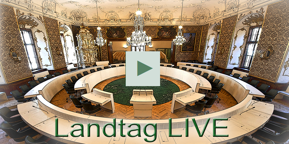 PALLAST-Public: Zum Livestream